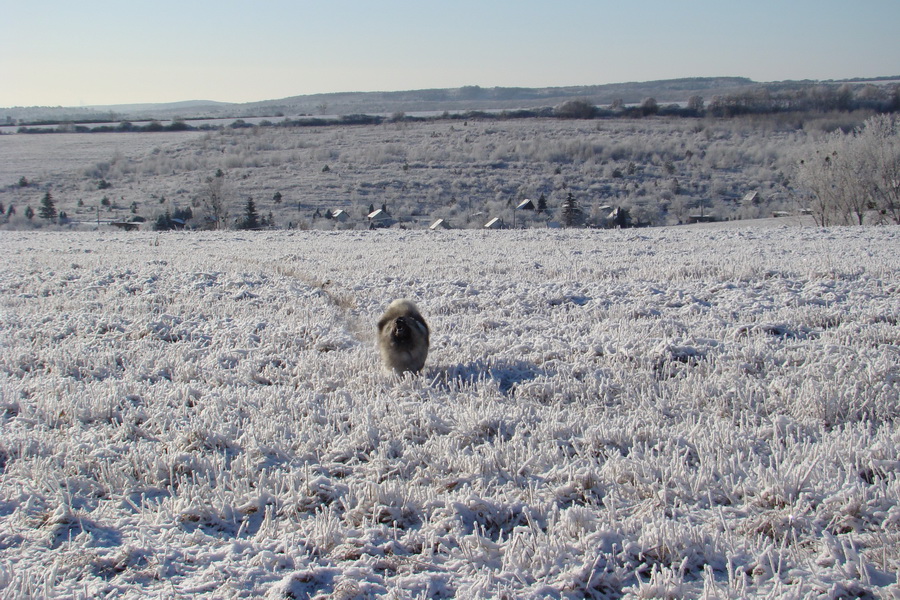 Jahodná 03.01.2009