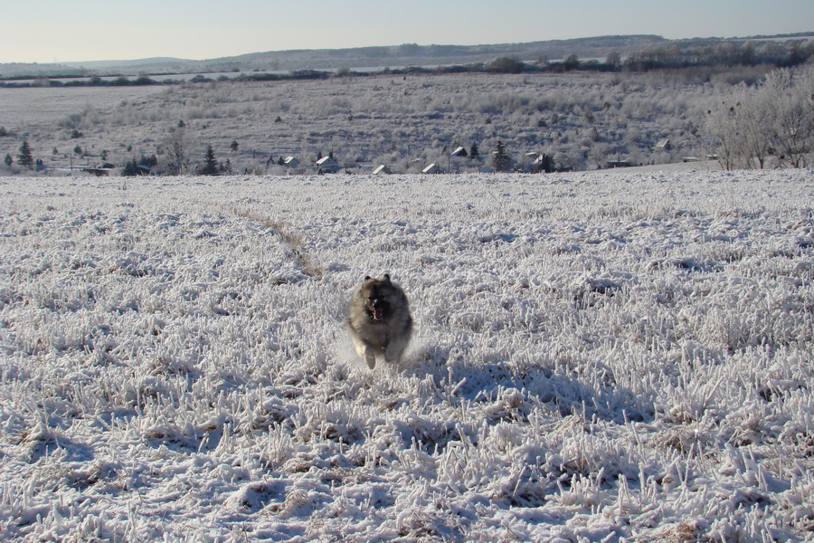 Jahodná 03.01.2009