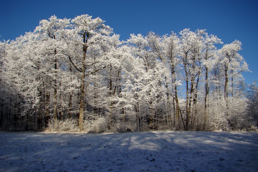 Jahodná 03.01.2009