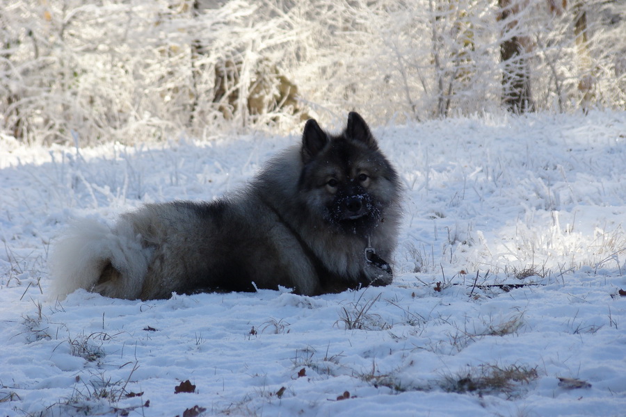 Jahodná 03.01.2009