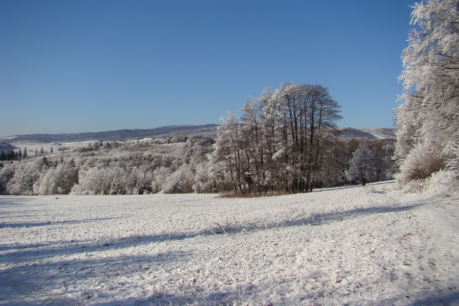 Jahodná 03.01.2009