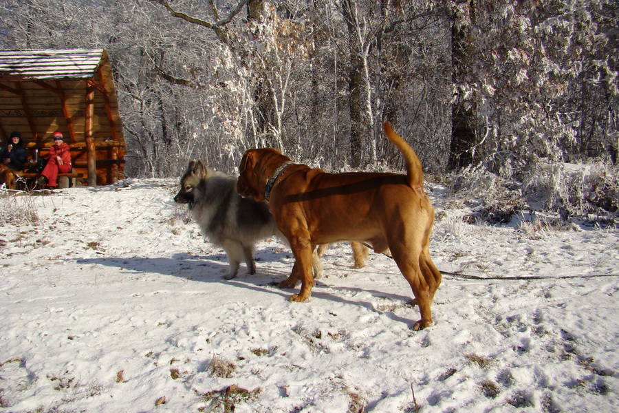 Jahodná 03.01.2009