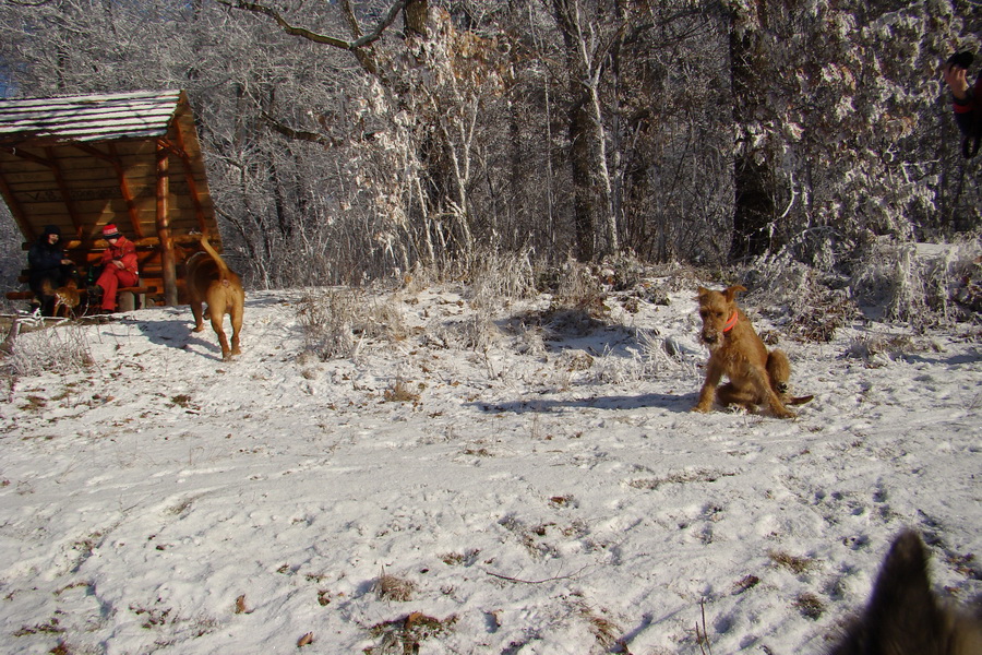 Jahodná 03.01.2009