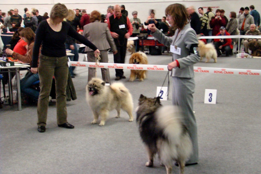 Medzinárodná výstava psov Trenčín 2009