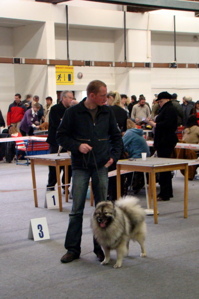 Medzinárodná výstava psov Trenčín 2009