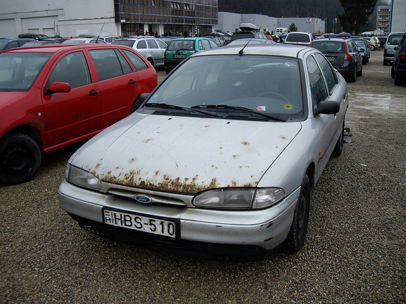 Medzinárodná výstava psov Trenčín 2009