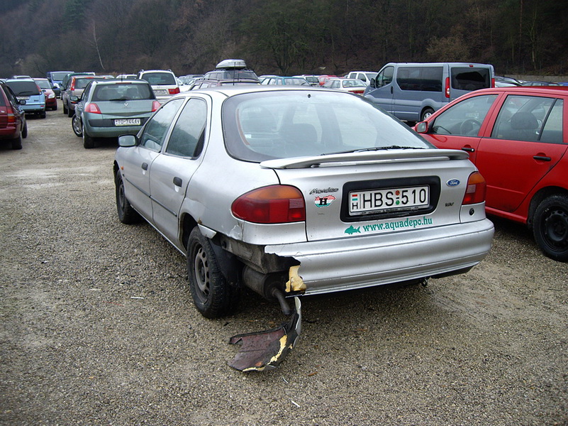 Medzinárodná výstava psov Trenčín 2009