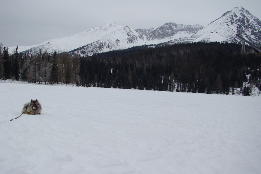 Štrbské pleso 02.01.2009