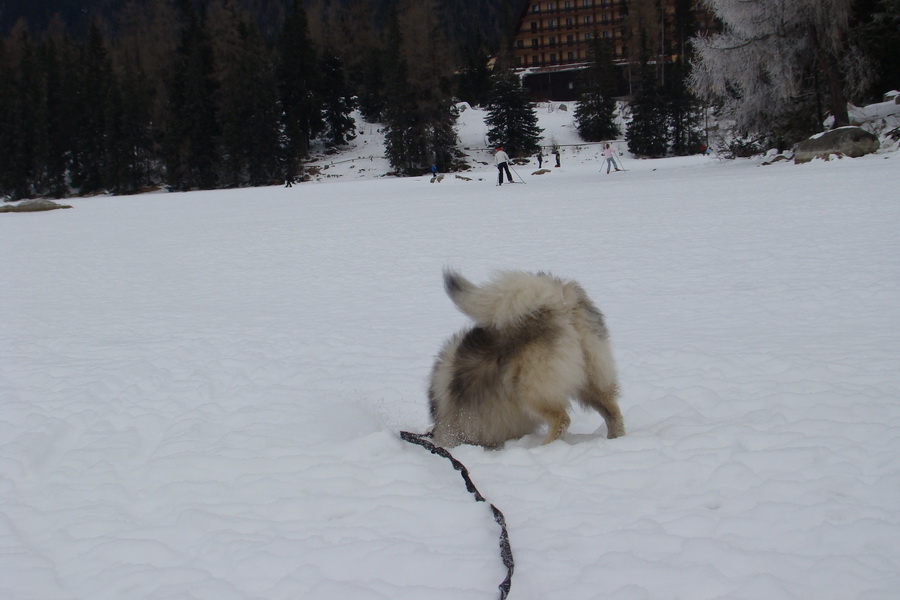 Štrbské pleso 02.01.2009