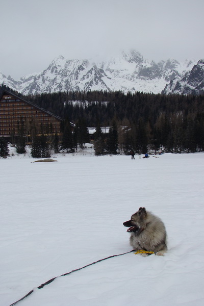 Štrbské pleso 02.01.2009