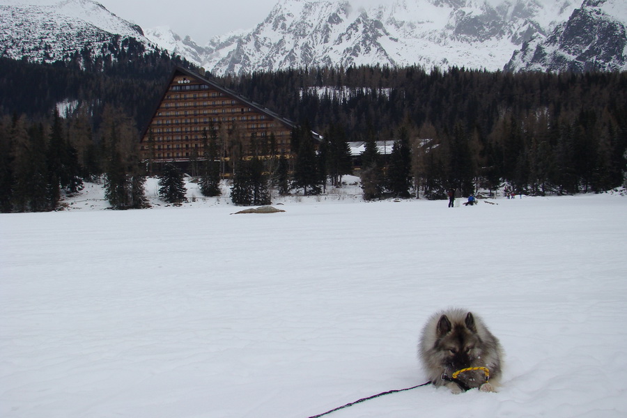 Štrbské pleso 02.01.2009