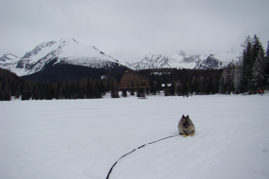 Štrbské pleso 02.01.2009