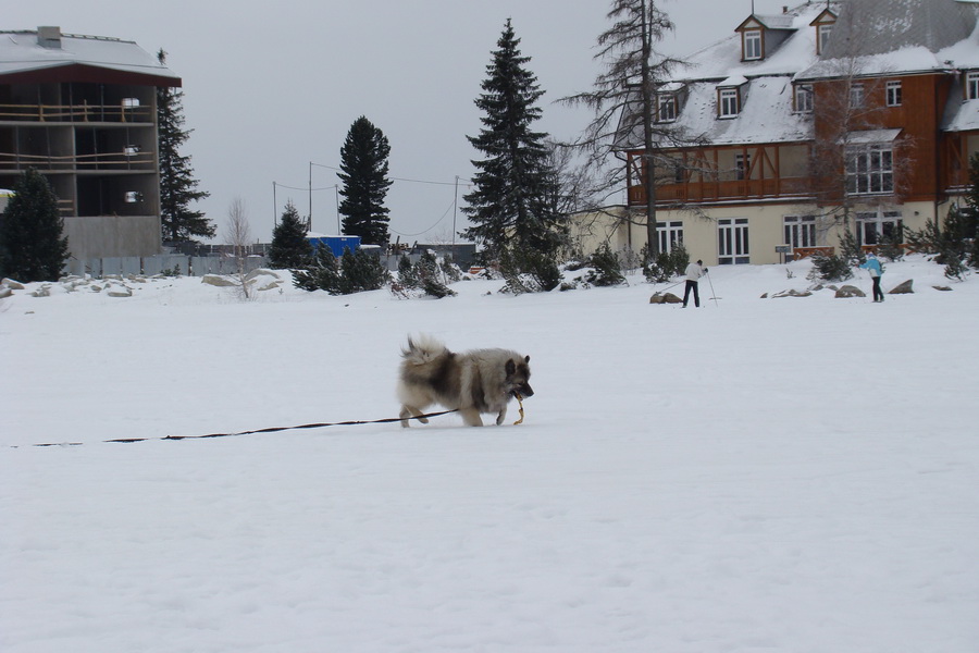 Štrbské pleso 02.01.2009