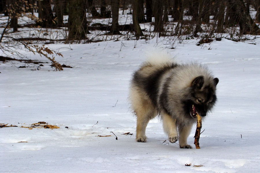 Bankov 28.02.2010