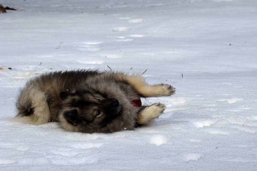 Bankov 28.02.2010