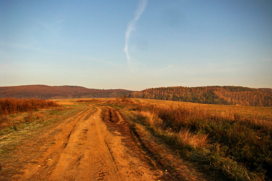 Bankov 30.09.2010, 01.11.2010