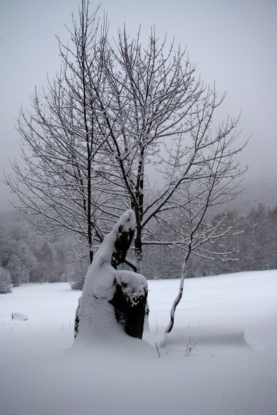 Rákocziho prameň 14.02.2010