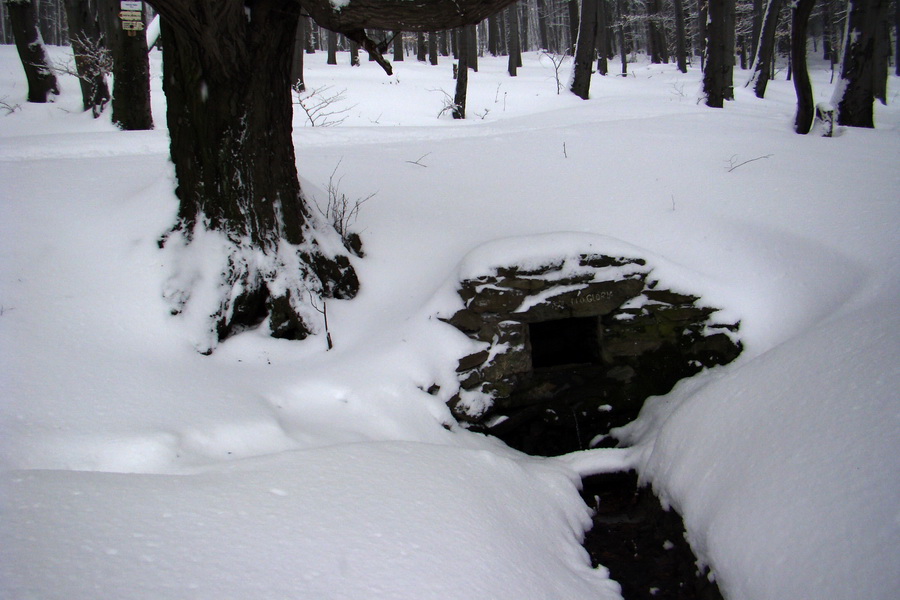 Rákocziho prameň 14.02.2010