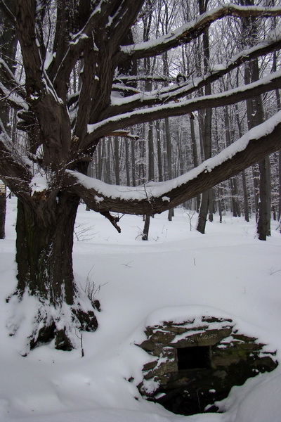 Rákocziho prameň 14.02.2010