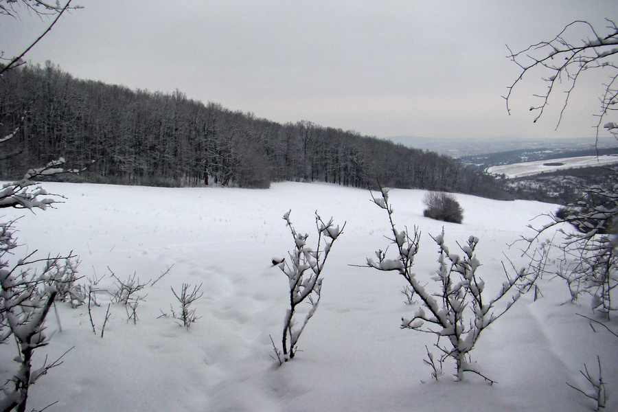 Rákocziho prameň 14.02.2010