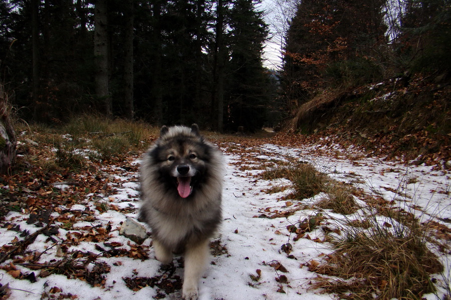 Kloptaň 25. 12. 2013