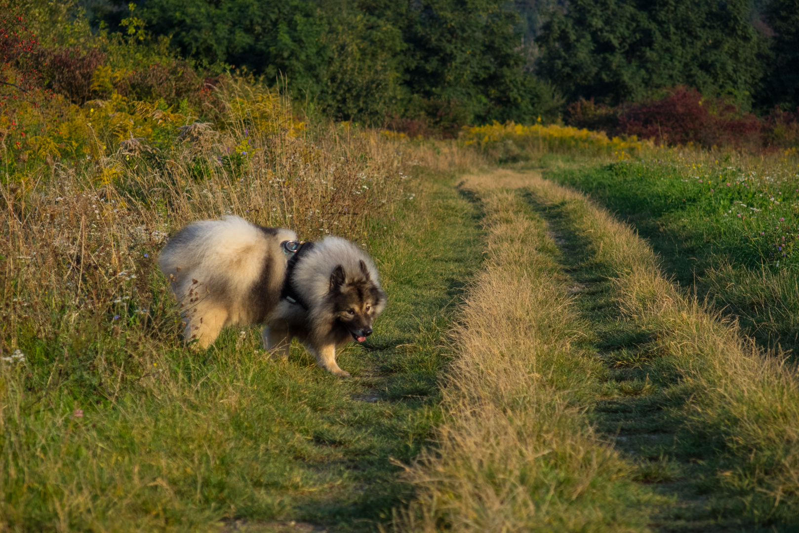 Bankov 17.09.2014