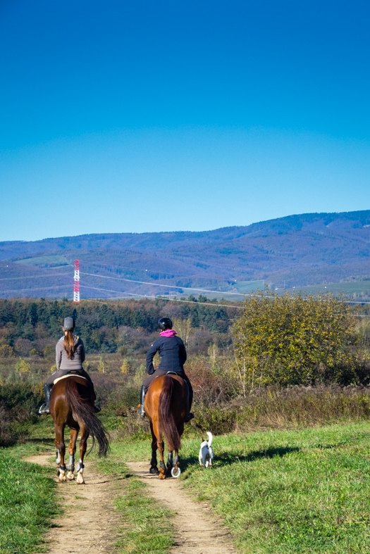 Bankov 26.10.2014