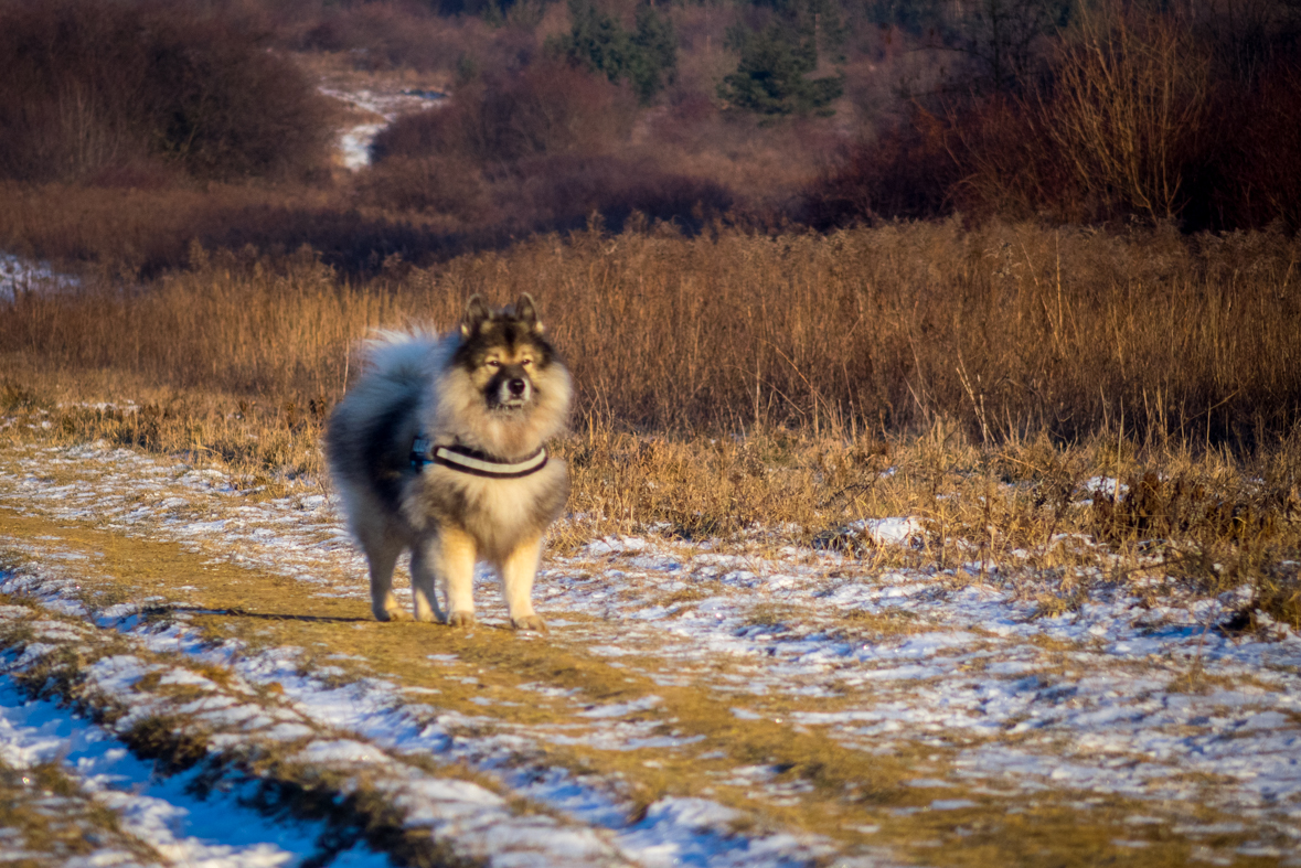 Bankov 31.12.2014