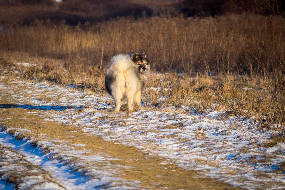 Bankov 31.12.2014