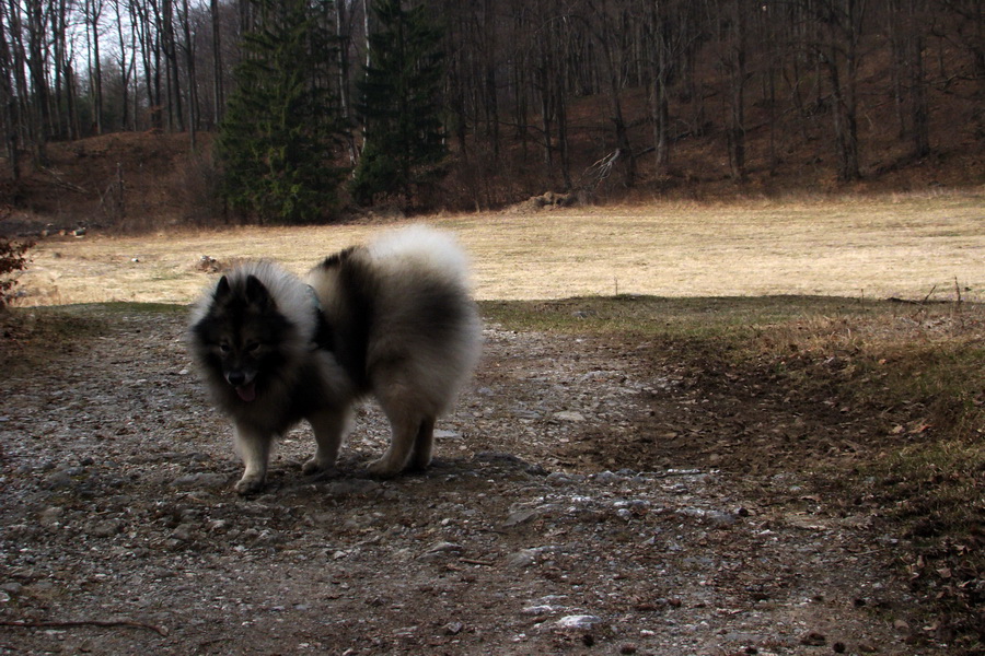 Občasný prameň 05.04.2014