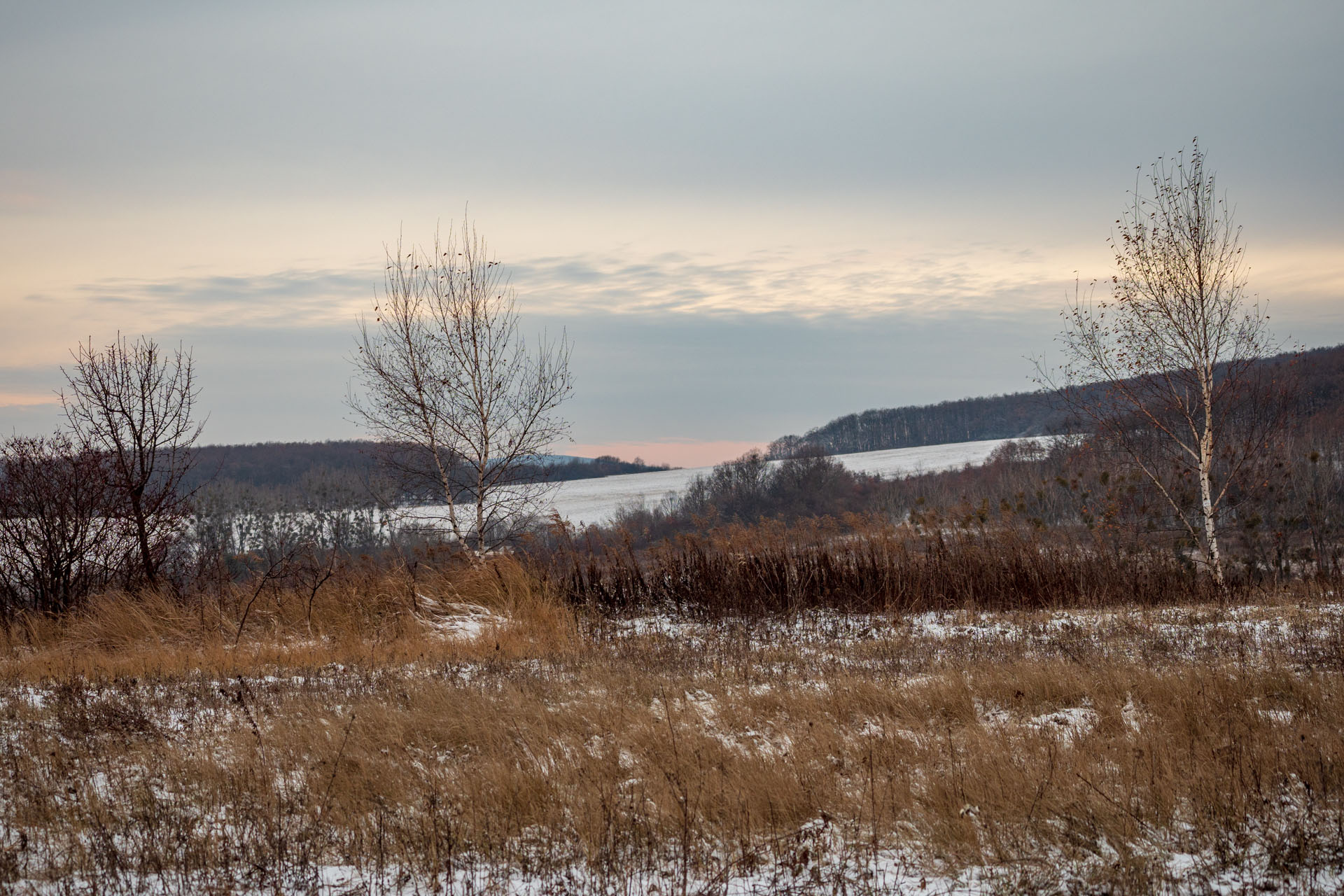 Bankov 16.12.2018