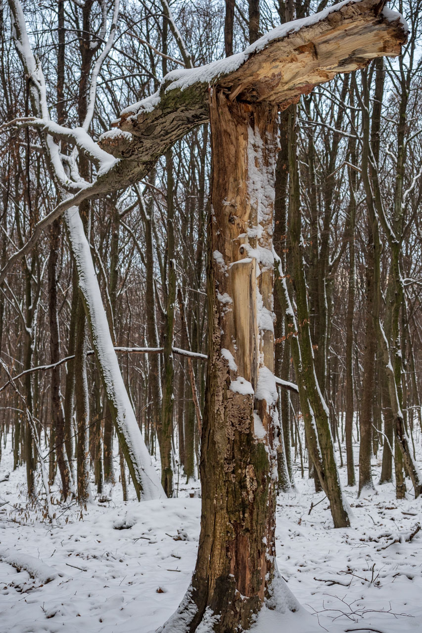 Bankov 16.12.2018