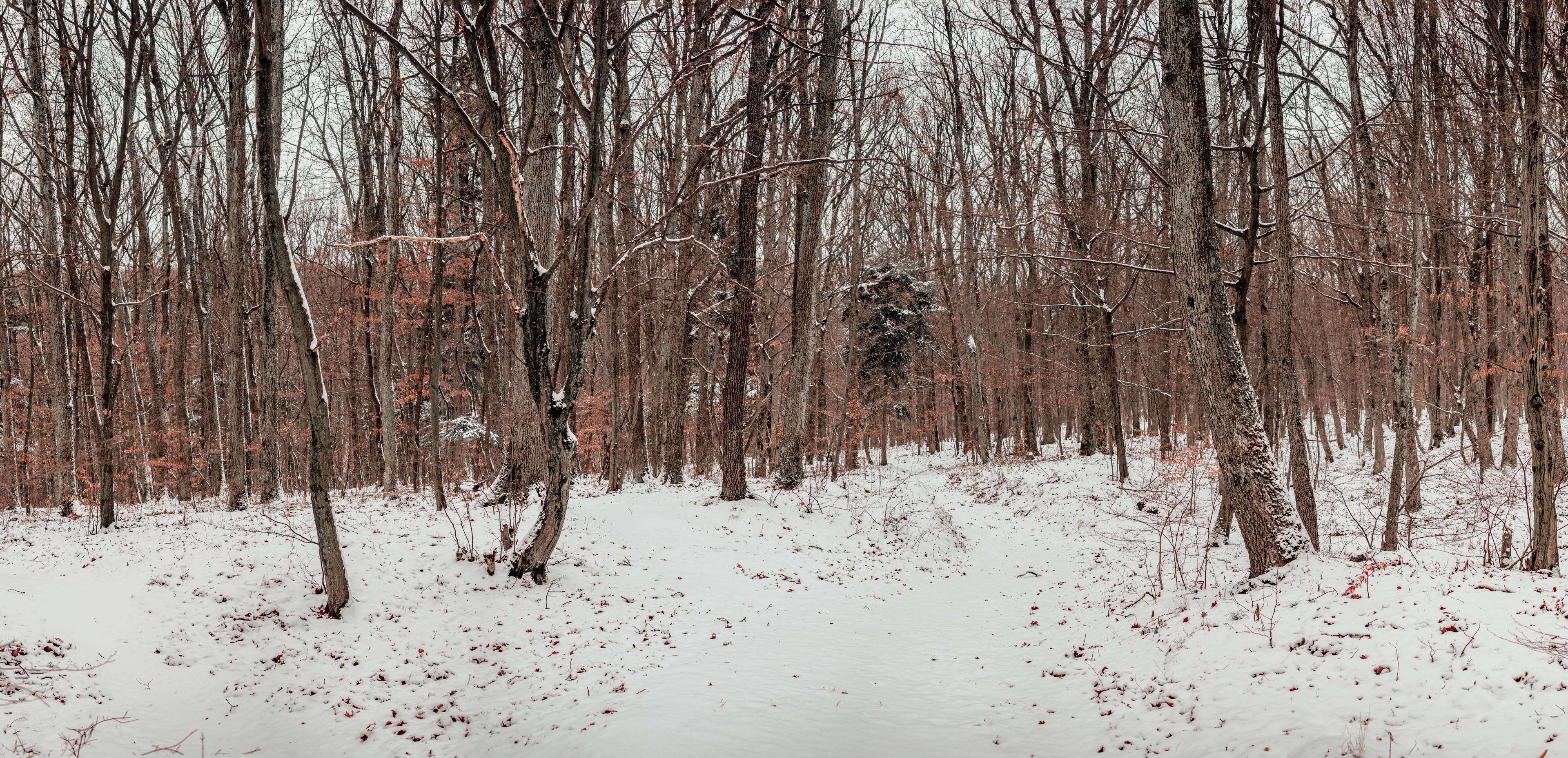 Bankov 16.12.2018