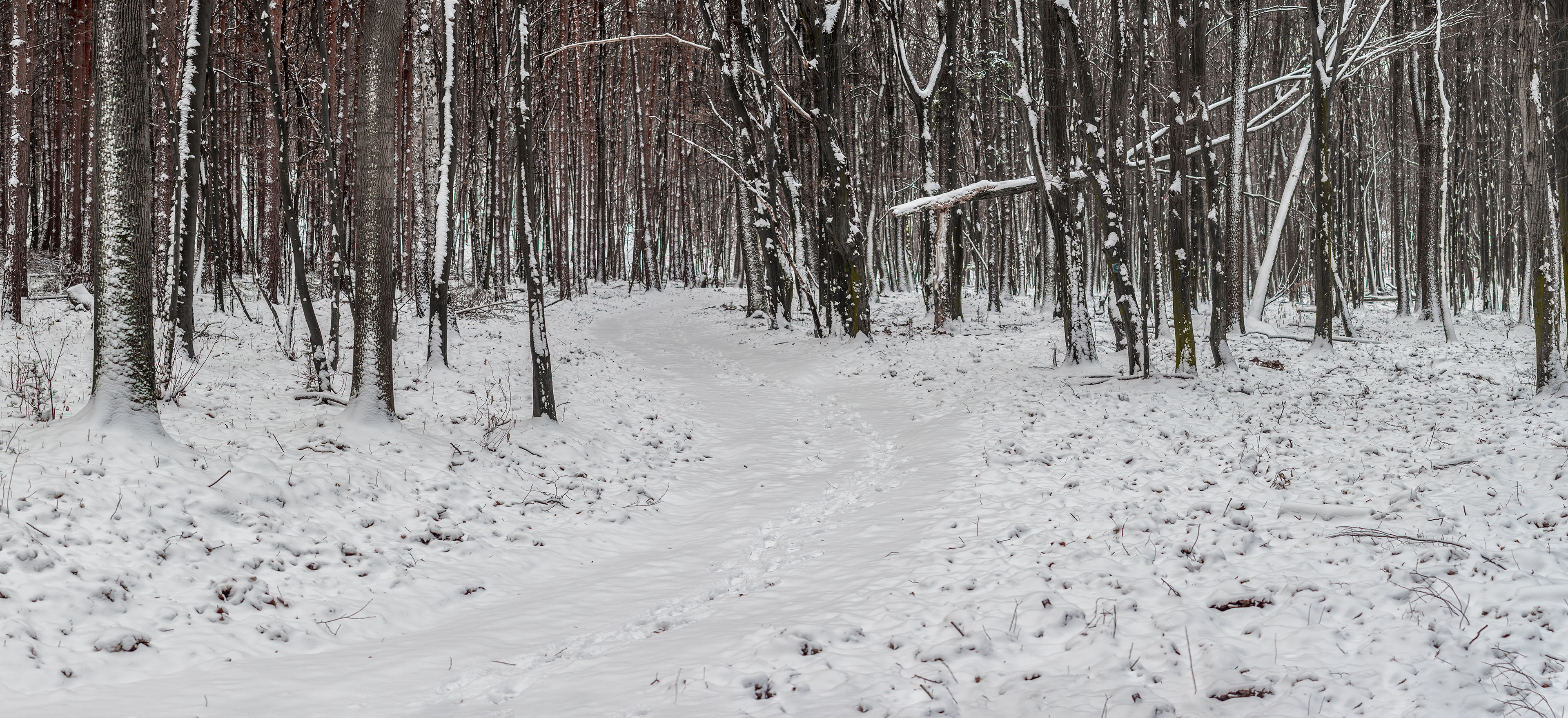 Bankov 16.12.2018