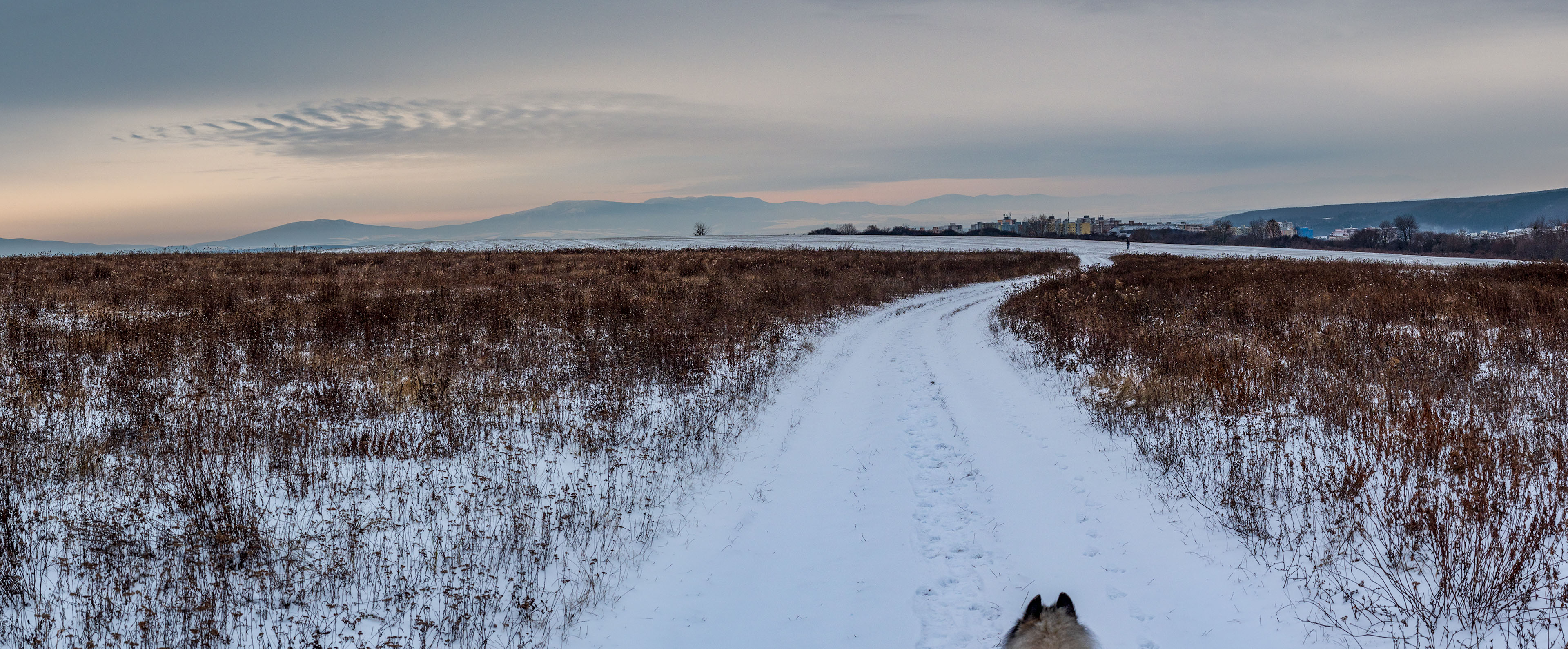 Bankov 16.12.2018