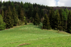 Minčol z Pustého poľa (Čergov)