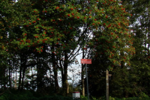 Natura 2000 Zywiecke Beskydy