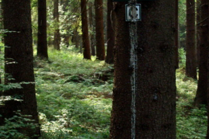 chránená krajinná oblasť Horná Orava, stupeň C