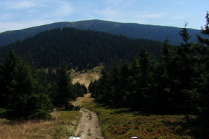 zostup do sedla pod Brtsom (Polanicou)