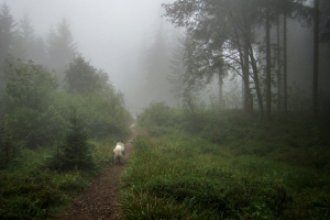 zostup do sedla Hliny