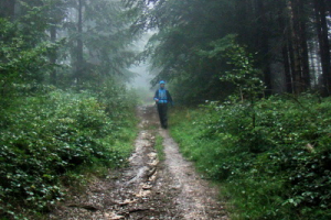 zostup z Modrálovej na Jalovecké sedlo