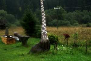 Hrebeňovka Oravských Beskýd - 4 deň (Oravské Beskydy)