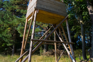 Bukový vrch a Žobrák z Krížov (Čergov)