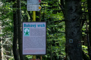 Bukový vrch a Žobrák z Krížov (Čergov)