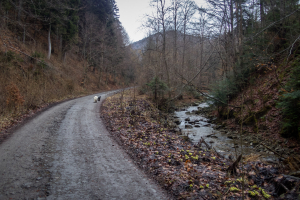 Veľká Javorina cez Čergov z Majdanu (Čergov)