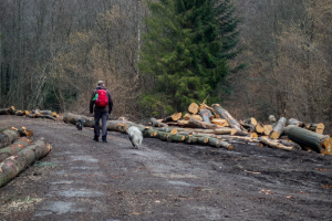 Veľká Javorina cez Čergov z Majdanu (Čergov)