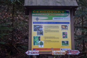 Veľká Javorina cez Čergov z Majdanu (Čergov)