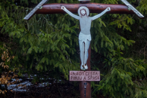 Veľká Javorina cez Čergov z Majdanu (Čergov)
