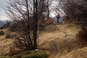 Veľká Javorina cez Čergov z Majdanu (Čergov)