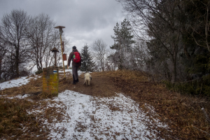 Veľká Javorina cez Čergov z Majdanu (Čergov)